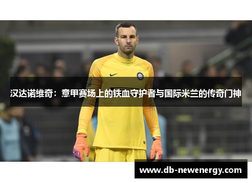 汉达诺维奇：意甲赛场上的铁血守护者与国际米兰的传奇门神