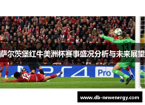 萨尔茨堡红牛美洲杯赛事盛况分析与未来展望