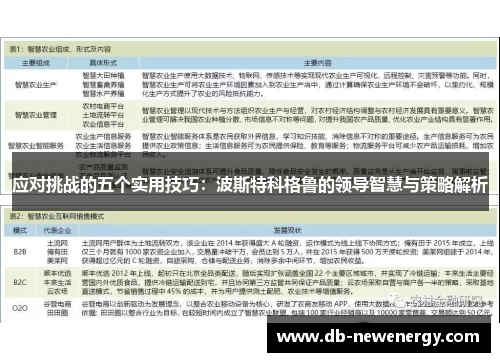 应对挑战的五个实用技巧:波斯特科格鲁的领导智慧与策略解析 应对挑战的五个实用技巧:波斯特科格鲁的领导智慧与策略解析