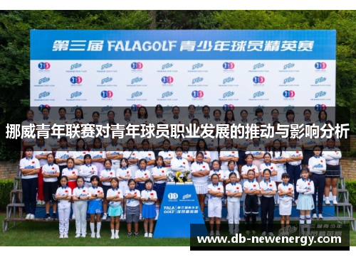 挪威青年联赛对青年球员职业发展的推动与影响分析